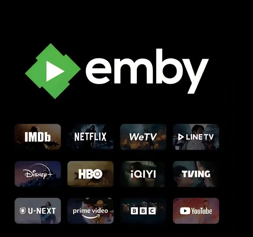 emby订阅版和解锁区别截图