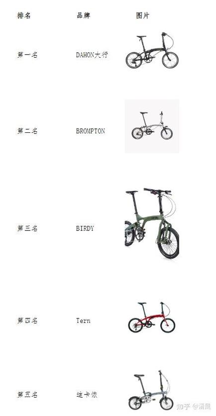 世界折叠自行车品牌排行榜