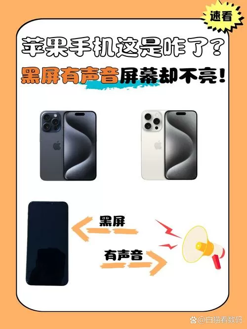 苹果手机黑屏一下又亮是怎么回事