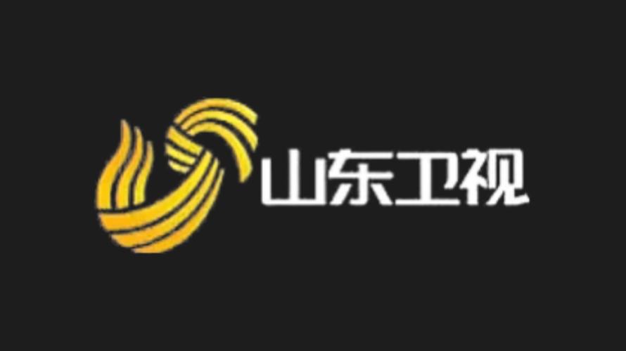 山东卫视回放观看