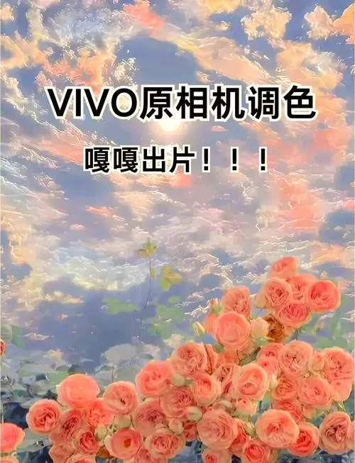 手机拍照色彩怎么调鲜艳