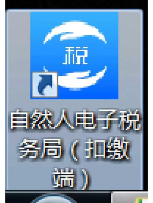 上海市电子税务