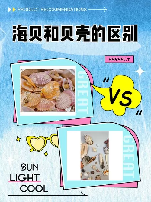 suki无限贝壳和无限贝壳的区别