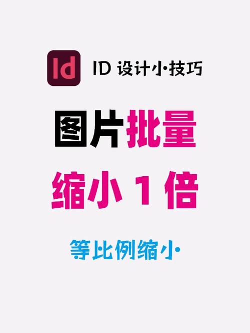 照片怎么拉长比例