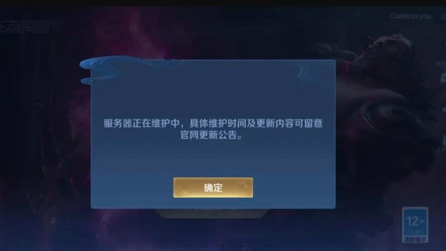 王者荣耀扫码登录截图为啥登不了
