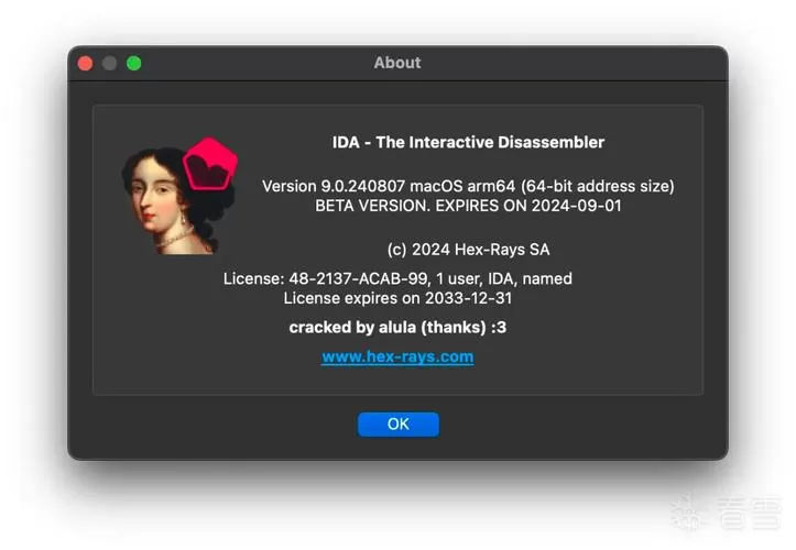 IDAPro9.0汉化破解版