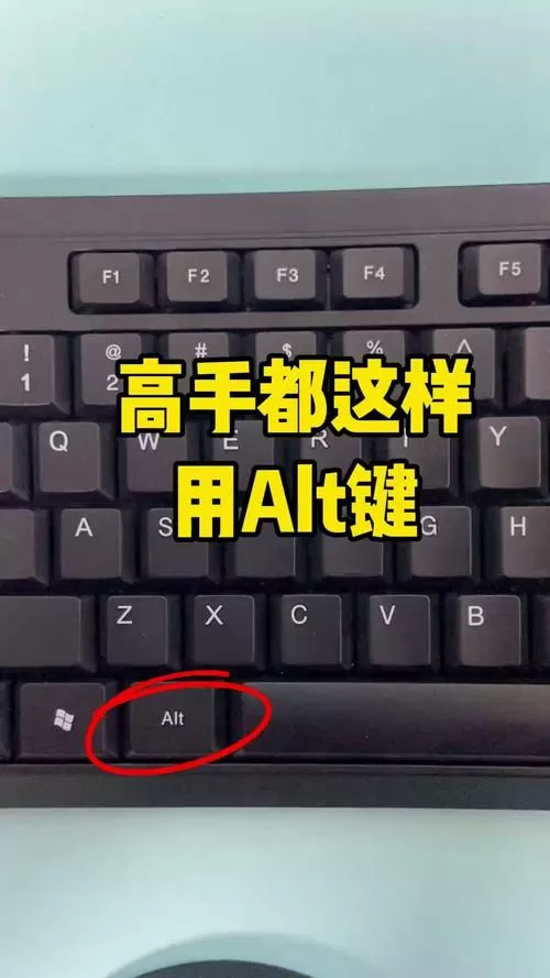 alt按键在哪