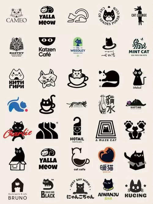 玄猫吃什么食物