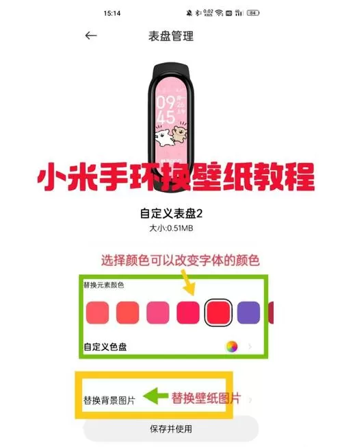 小米手环10壁纸设置不了