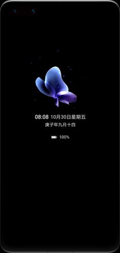 华为光之翼主题下载