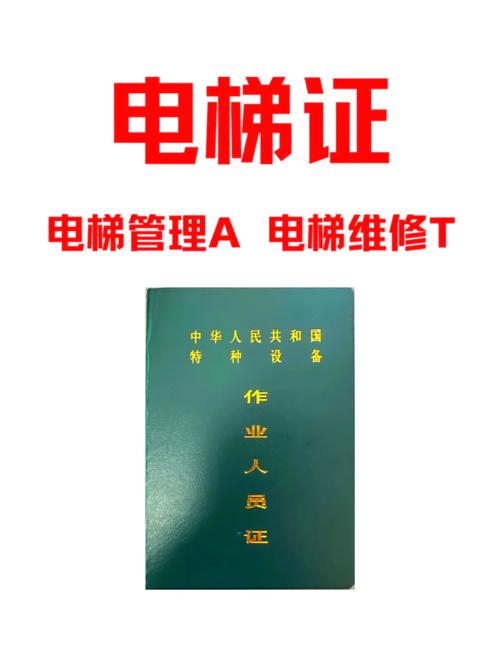 怎么查自己的电梯证