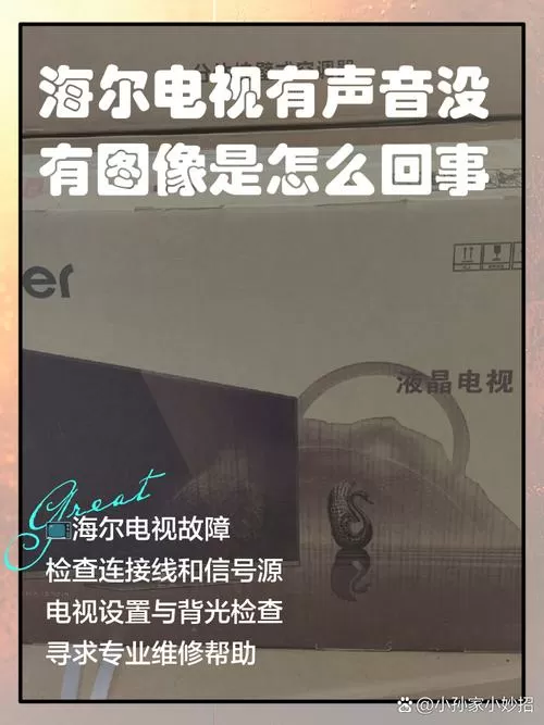 电视没声音了是什么故障
