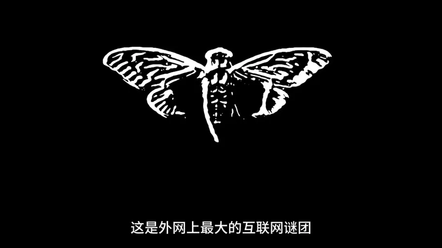 wayfay密码