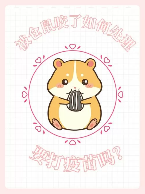 被仓鼠咬了几天会发病