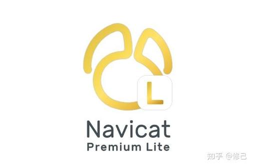 lite破解教程