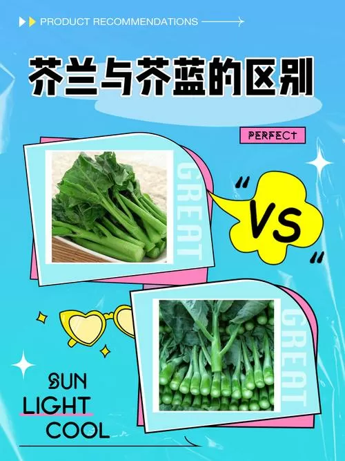 芥菜与芥兰的区别