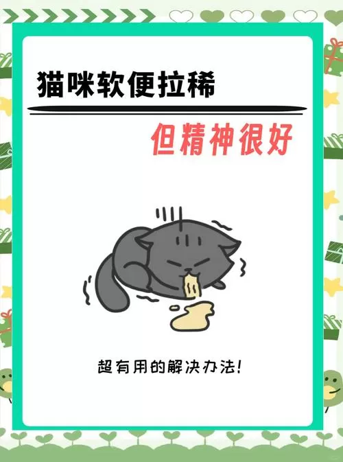 猫咪突然拉稀但很活跃