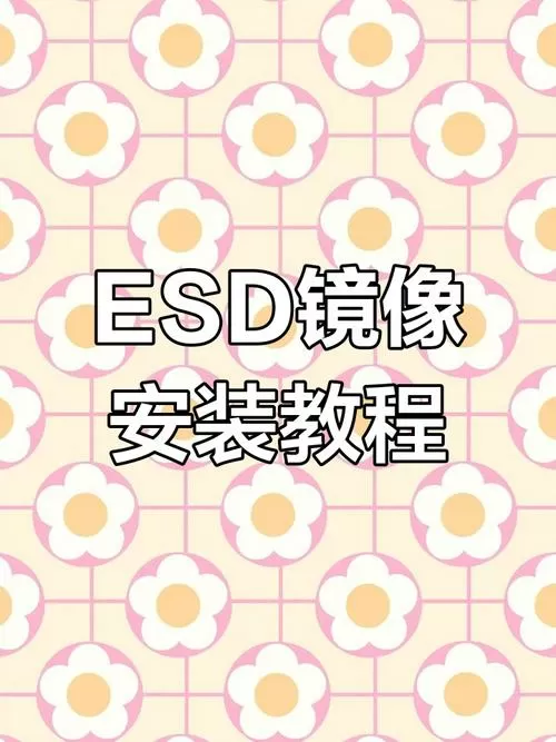 esd格式的镜像怎么安装