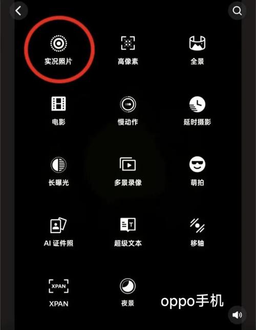 安卓手机可以拍实况照片吗
