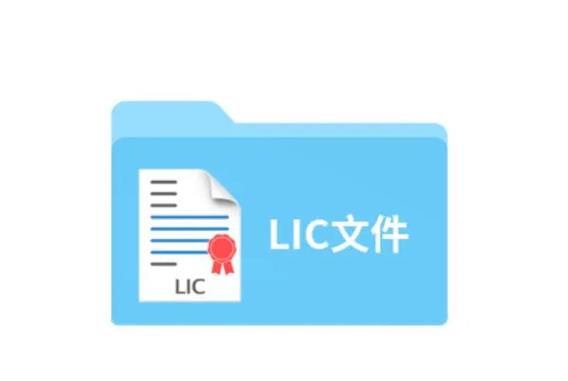 lic文件是什么意思