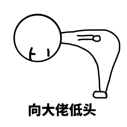 向大佬低头表情包