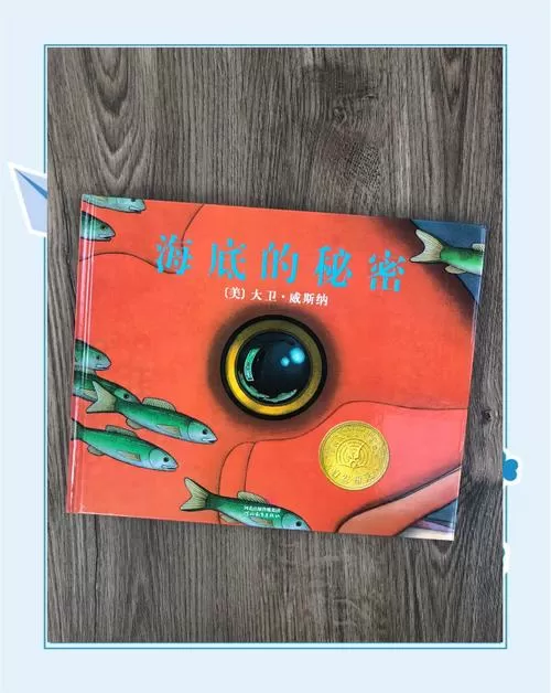 海底的秘密绘本读后感