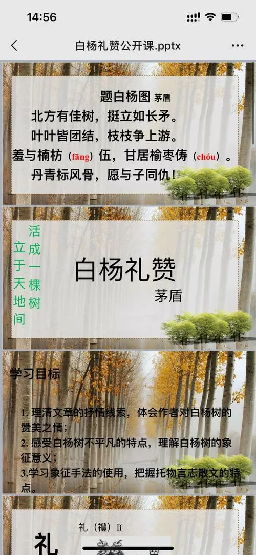 白杨礼赞备稿六步PPT