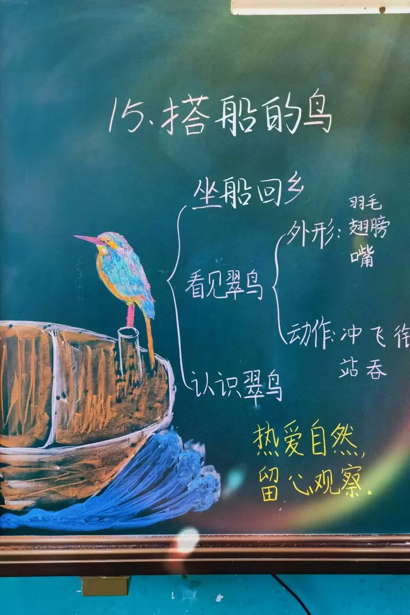 搭船的鸟第三自然段主要写了什么