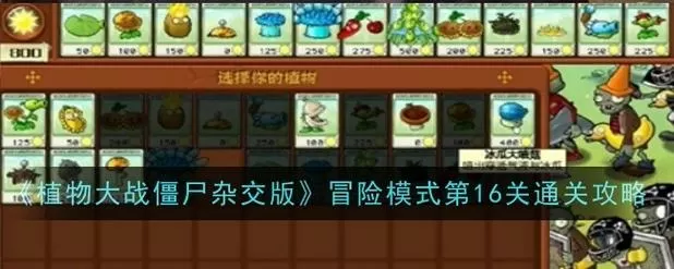 植物大战僵尸16关攻略简单