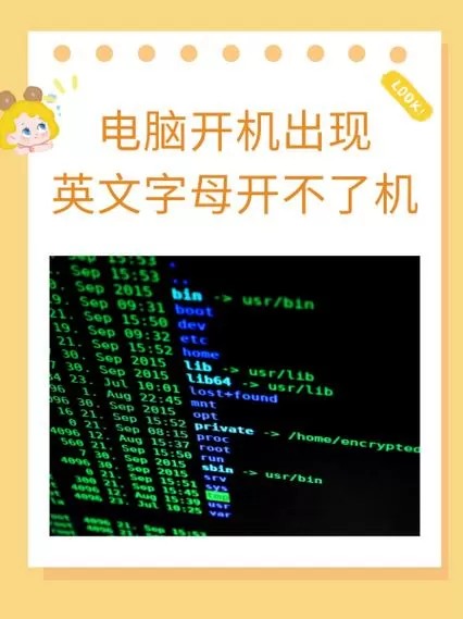 一插机械硬盘就开不了机