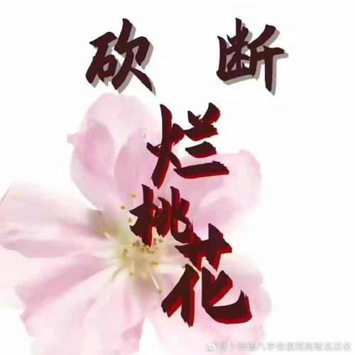桃花依旧面目全非是什么意思