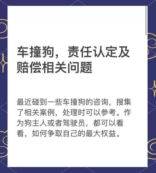 狗咬伤三级需要负什么法律责任