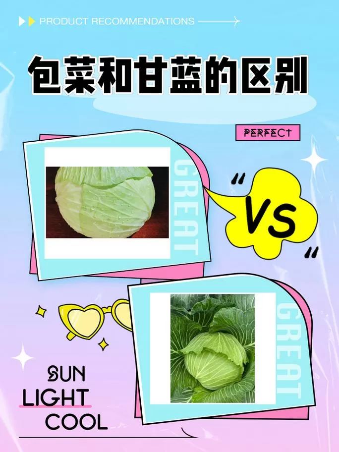 怎样区分甘蓝和包菜游戏截图