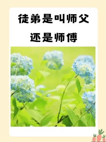 师徒关系用师傅还是师父