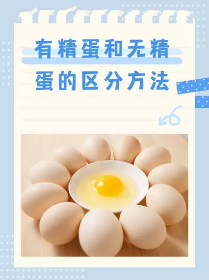 产生无精蛋的原因