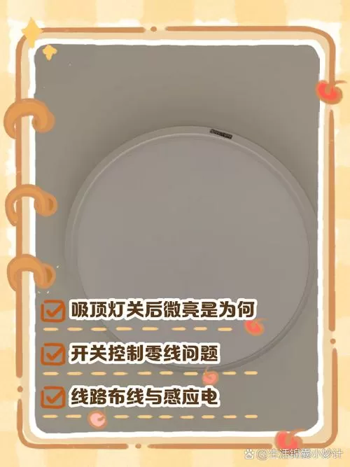 吸顶灯打开开关过一会才亮截图