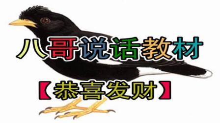 八哥说话教材免费下载