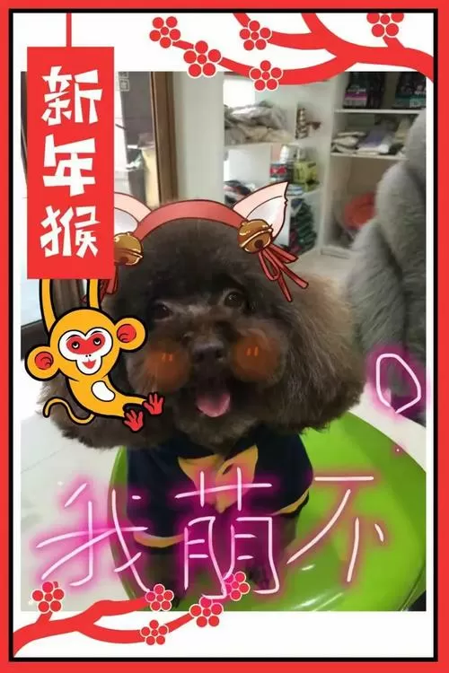 穿来的小软包太会撒娇了全文免费