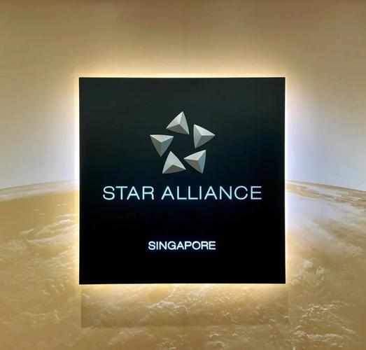星空联盟会员等级