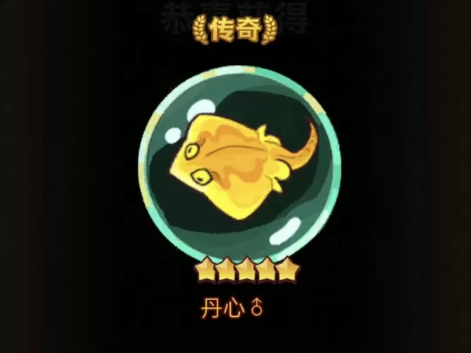 咸鱼之王直装辅助
