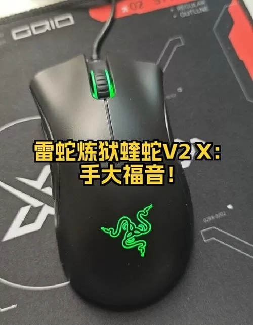 雷蛇v2x激活码卡片丢了