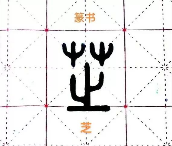 芝字一般人压不住的原因