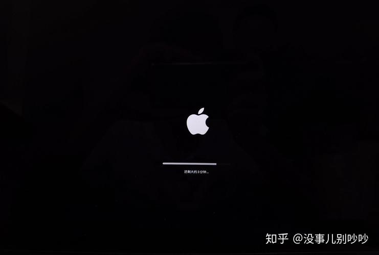 苹果黑屏显示连接电脑