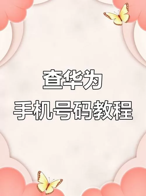 华为输入数字查询手机信息