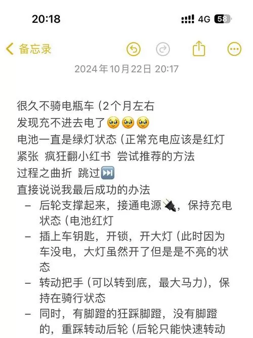 电瓶车放久了充不进电怎么修复