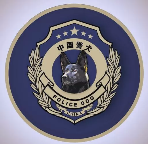 警犬巡逻照片