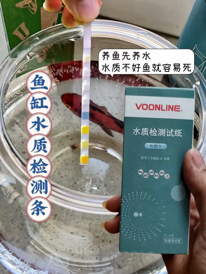 鱼缸水质检测400正常吗