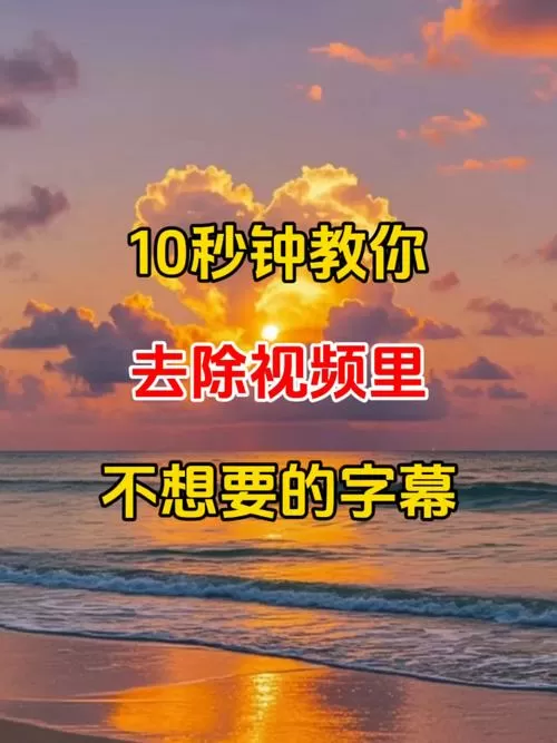 快手视频中的文字去除