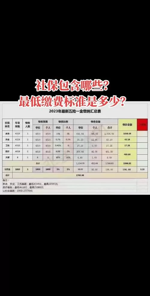 陕西职工养老保险缴费基数