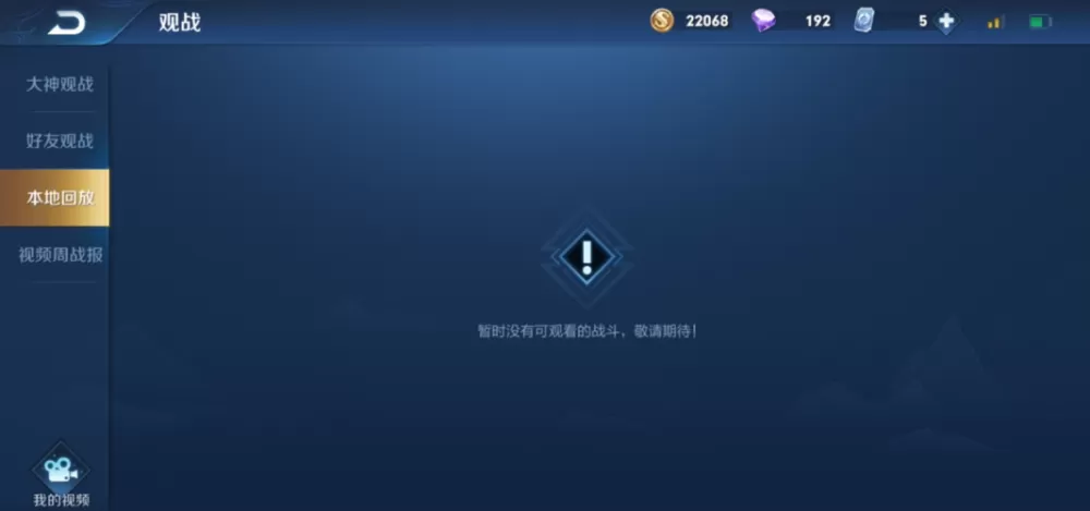 王者查看回放别人能看到吗